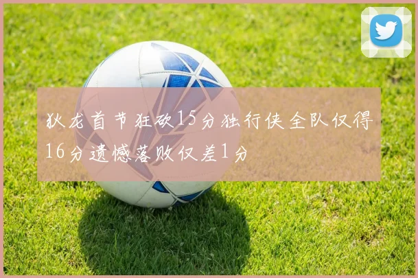 狄龙首节狂砍15分独行侠全队仅得16分遗憾落败仅差1分