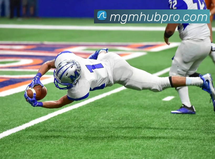 美高梅中国官网平台生态图